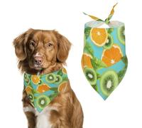 Citrus And Kiwi Funny Dog Bandanas Cute Triangle Cat Pet Scarf Bib for Holiday Party Gift