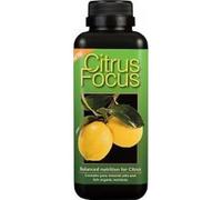 citrus focus 100ml growth technology