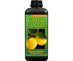Citrus Focus Balanced Concentrated Liquid Fertiliser 1 Litre