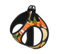 Citrus Fruit Pattern Print Reflective No Choke Pet Vest Harness,Adjustable Soft Padded Dog Harness With Easy Control Handle