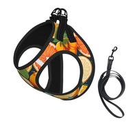 Citrus Fruit Pattern Print Reflective No Choke Pet Vest Harness,Adjustable Soft Padded Dog Harness With Easy Control Handle