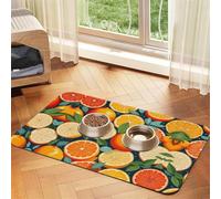 Citrus Fruit Patternprint Pet Absorbent Leather Tablecloth,Wipe Clean Quick Dry,Food Mat For Small Animals