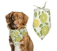 Citrus Grapefruit Printed Dog Bandanas Adjustable Triangle Pet Scarf Washable Puppy Bibs Kerchief