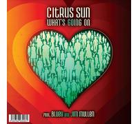 Citrus Sun - What's Going On / What Color Is Love [Vinyl LP] [VINYL]