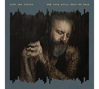 City and Colour - The Love Still Held Me Near [VINYL]