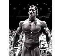 City-art-zone Arnold Schwarzenegger Gym Conquer Poster Wall Art Print A4