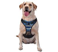 City at Night Dog Harness - Equipped with pet Leash Reflective Straps and Quick Release Buckles - Suitable for All Types of Dogs
