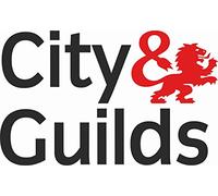 CITY & GUILDS VEHICLE STICKER SELF ADHESIVE DECAL VINYL GRAPHIC SIZE 320 X 200mm(32 X 20cm) BLACK & RED