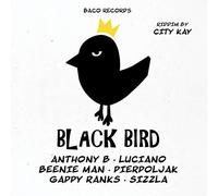 City Kay Pres. Various - Black Bird Riddim (Lim.Ed.) [VINYL]