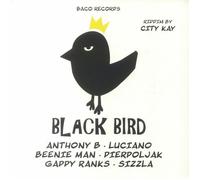 CITY KAY/VARIOUS - Black Bird: Riddim By City Kay - Vinyl (LP)