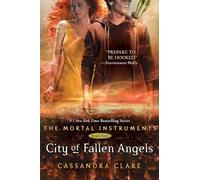 City of Fallen Angels: 4 (Mortal Instruments)