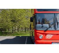 City Sightseeing Dublin Daily ticket tour 2 adults ticket