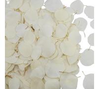 CITYES 400 Pcs Preserved Real Eucalyptus Leaves Natural Dried Eucalyptus Leaves Bulk White Eucalyptus Petals for Flower Girl Basket Leaves Confetti for Wedding Table Decor Baby Shower Party