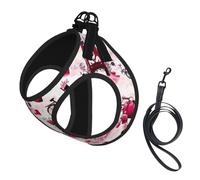 Cityscape Paris Eiffel Tower France Compact Pet Suspender Vest-The Perfect Small Pet For A Comfortable Walk