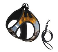 Cityscape Paris Eiffel Tower France Print Dog Harness with Leash Set with Thickened Padded Vest for Extra-Small/Small Medium Dogs