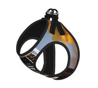 Cityscape Paris Eiffel Tower France Print Pet Leash Vest,For Small Dogs,Adjustable And Comfortable Cat Puppy Essentials