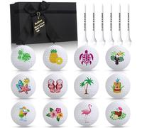 Civaner 19 Pcs Hawaii Golf Ball Gift Set 12 Funny Tropical Collection Practice Balls 6 Tees and Box Novelty Summer Vacation Gifts for Men Women Coworkers Employee Golf Lovers Birthday Retirement
