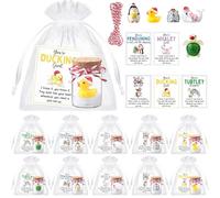 Civaner 25 Set Employee Appreciation Gifts Bulk for Coworkers Christmas Thank You Staff Mini Snow Bottles Resin Animals Pun Motivational Note Cards with Red String Organza Bag for Teachers Nurse