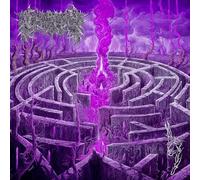 Civerous - Maze Envy