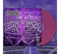 Civerous - Maze Envy [VINYL]