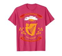 Civil War Era 1st Irish Brigade Flag T-Shirt, Men, Red Heather, 3X-Large