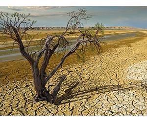 Civilization, the Biosphere, and Tomorrow