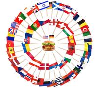 CIYIN Flag Toothpick, Toothpick with Flags, 100 Different Country Flags, European Countries Toothpicks, for Party Decoration Olympia EM 2024, World Cup Decoration
