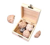 CIYODO 1 Box Gem Mining Kit for Educational Geology Dig Kit with Real Crystals and Gemstones Easy Hammer Excavation Unique Rock Collection for Science Learning and Exploration