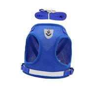 CIYODO 1 Set Cooling Vest Dog Harness Set Lightweight Reflective Puppy Vest with Leash for Comfortable Outdoor Walks Breathable Pet Safety Gear