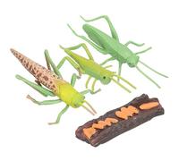CIYODO 1 Set Cycle Figures Educational for Realistic Animal Growth Models for Early Learning and Cognitive Development for Parties and