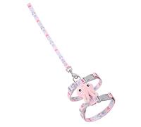 CIYODO 1 Set Hand Holding Rope Dogs and Cats Rabbit Clear Money Bank Door Kitten Go Carrier Control Kitten Harness Leash Tofu Cat Litter Corsage Post Pet Bralette Belt Fabric