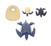 CIYODO 1 Set Turtle Growth Cycle Model Realistic Simulation Animal Figurines Early Learning for Imagination Development Educational Display for Home Classroom