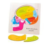 CIYODO 1 Set Wooden Brain Structure Puzzle for Educational Cognition Safe and Smooth Surface Develops Imagination and Understanding of Brain Anatomy
