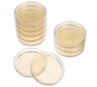 CIYODO 10pcs 7cm Pre-poured Nutrient Agar Petri Plates Laboratory Agar Plates for Microbial Experiments Tissue Culture Dishes Three-layer Packaging