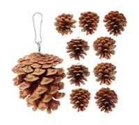 CIYODO 10pcs Hanging Parrot Chewing Natural Pine Cones for Cockatiels Parakeets Pet Plaything Durable Safe Cage Accessory for Bird Beak Grinding and Entertainment