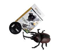 CIYODO 1Set Electric Rc Beetle Toy Remote Control Insect Model with Luminous Eyes Plastic Realistic Movement for Boy Girl