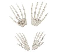 CIYODO 2pairs Skeleton Hand Props Realistic Bone Decoration for Halloween Plastic Horror Decor for Haunted Houses and Parties Scary Claw Hands for Spooky Displays