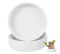 CIYODO 2Pcs Ceramic Plant Trays for Brazilian Wood Pots Heavy Duty Crack Resistant Holders Elegant Desktop Decoration for Home and Office Prevent Water Leakage and Keep Surfaces Clean