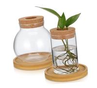 CIYODO 2pcs Desktop Glass Planter Vases for Hydroponic Plants and Cylindrical Propagation Holders with Bamboo Stands Decorative Flower Display for Indoor Use
