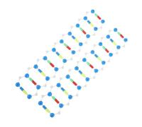 CIYODO 2pcs Dna Double Helix Model Kit Educational Molecular Model for Teaching Learning for Schools Universities Accurate Representation for Dna Studies Experiments