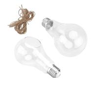 CIYODO 2pcs Light Bulb Shaped Hydroponic Vase Terrarium Container for Succulent Plants Home Decor Flower Display Glass Planter for Indoor Use