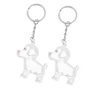 CIYODO 2pcs Pet Hair Keepsake Box with Keychain Transparent Dog Hair Holder for Memorials Portable Compact Storage for Fur Whiskers Trinkets Stylish Pet Cremation Jewelry Gift