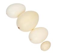 CIYODO 4pcs Bird Eggs Model Assorted Color Simulation Egg for Lightweight Realistic Appearance for Painting Practice and Educational Play