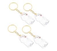 CIYODO 4pcs Transparent Pet Hair Keepsake Box Keychain Dog Puppy Whisker Storage Case Pendant Compact Portable Memorial Charm for Pet Owners Unique Hair Memory Capsule