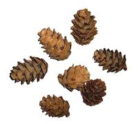 CIYODO 50pcs Pine Cones Photo Props Artificial Pine Balls for Decorations Adornments Reusable for Christmas Holiday Diy Projects