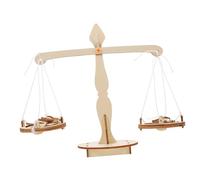 CIYODO 5pcs DIY Balance Scale Science Kit with Weights for Portable Stem Learning for Classroom and Home Inclusive Materials for Educational Experiments