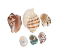 CIYODO 6pcs Natural Sea Conch Shells for Aquariums Small Fish Habitat Decor for Crabs Aquatic Landscaping Durable Underwater Use for Crafting Enhancing Wellbeing