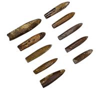 CIYODO Adornment Simulation Model Desktop Ornament Educational Plaything for Classroom Teaching Unique Natural Specimen for Home Decor and Paleontology