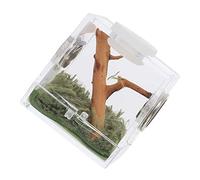 CIYODO Box Jumping Spider Breeding Critter Keeper Terrarium Container Insect Habitat Enclosure Feeding Spiders Lizard Aquarium Breeding Reptile Jumping Case Acrylic