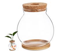 CIYODO Desktop Hydroponic Fish Bowl Glass Aquarium with Bamboo Cushion for Fish Small Fish Tank with Bamboo Mat for Desktop Decoration